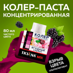 Колер микс универсальный Ягодный сорбет MIX 0,08л Тициана (12)